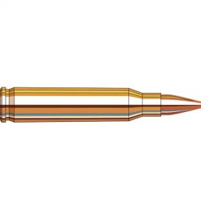 Náboj kulový Hornady, American Gunner, .223 Rem, 55GR, HP