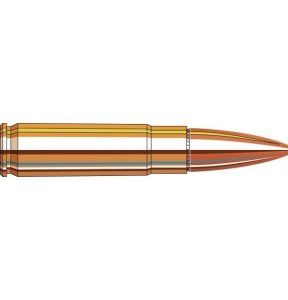 Náboj kul. Hornady, American Gunner, .300 AAC Blk, 125GR (8,9g), HP, MTM schránka