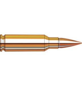 Náboj kulový Hornady, Frontier, 6,5 Grendel, 123GR, FMJ