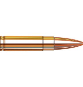 Náboj kulový Hornady, American Gunner, .300 AAC Blackout, 125GR (8,0g), HP, balení 50ks